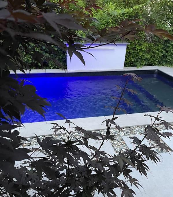 Villa Moderne Avec Piscine Albi Exterior foto